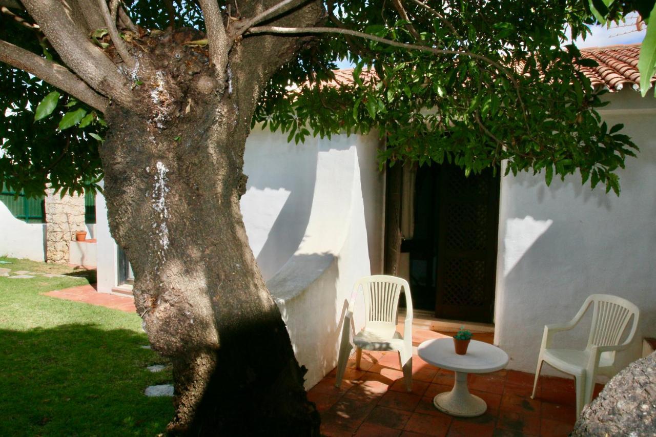 Villa Jacaranda - 550M From The Beach - Free Wifi - By Bedzy Albufeira Eksteriør bilde