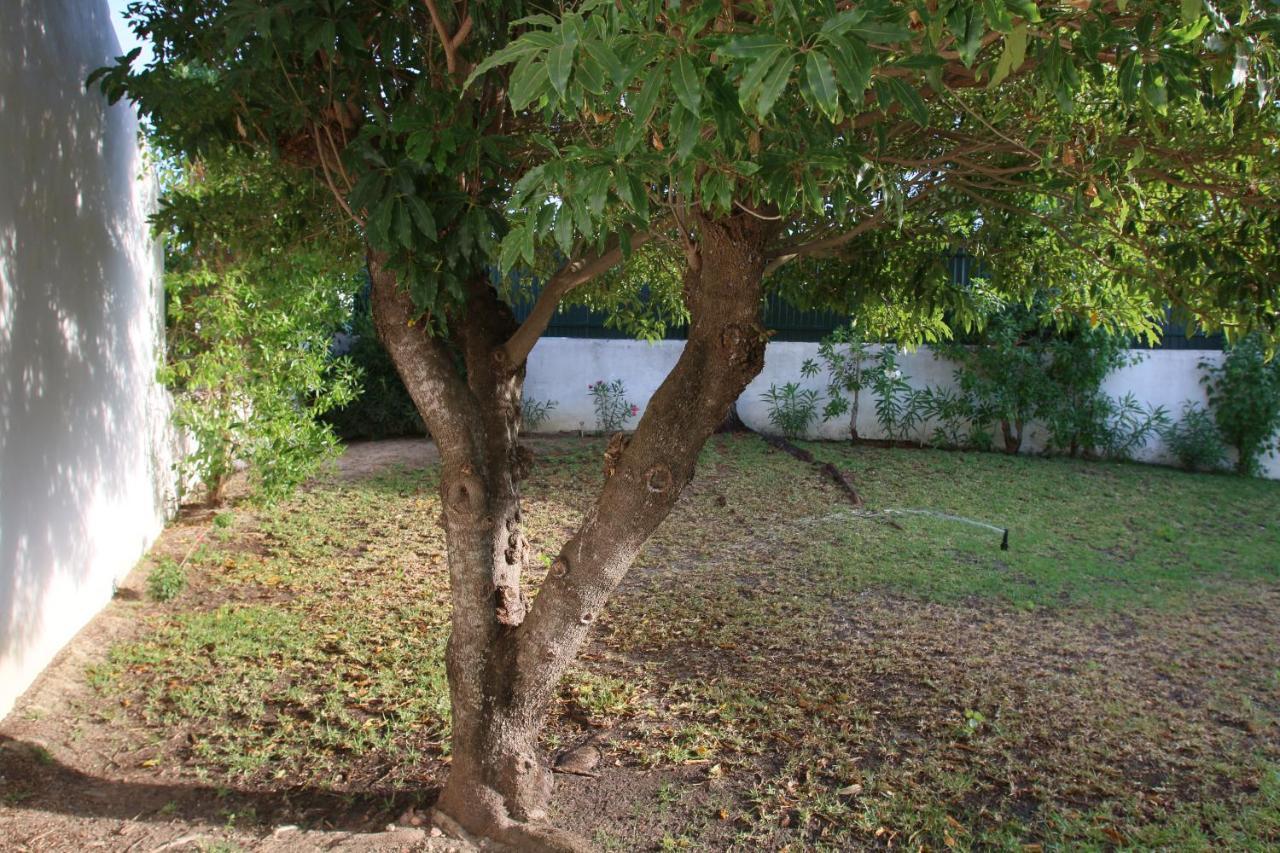 Villa Jacaranda - 550M From The Beach - Free Wifi - By Bedzy Albufeira Eksteriør bilde